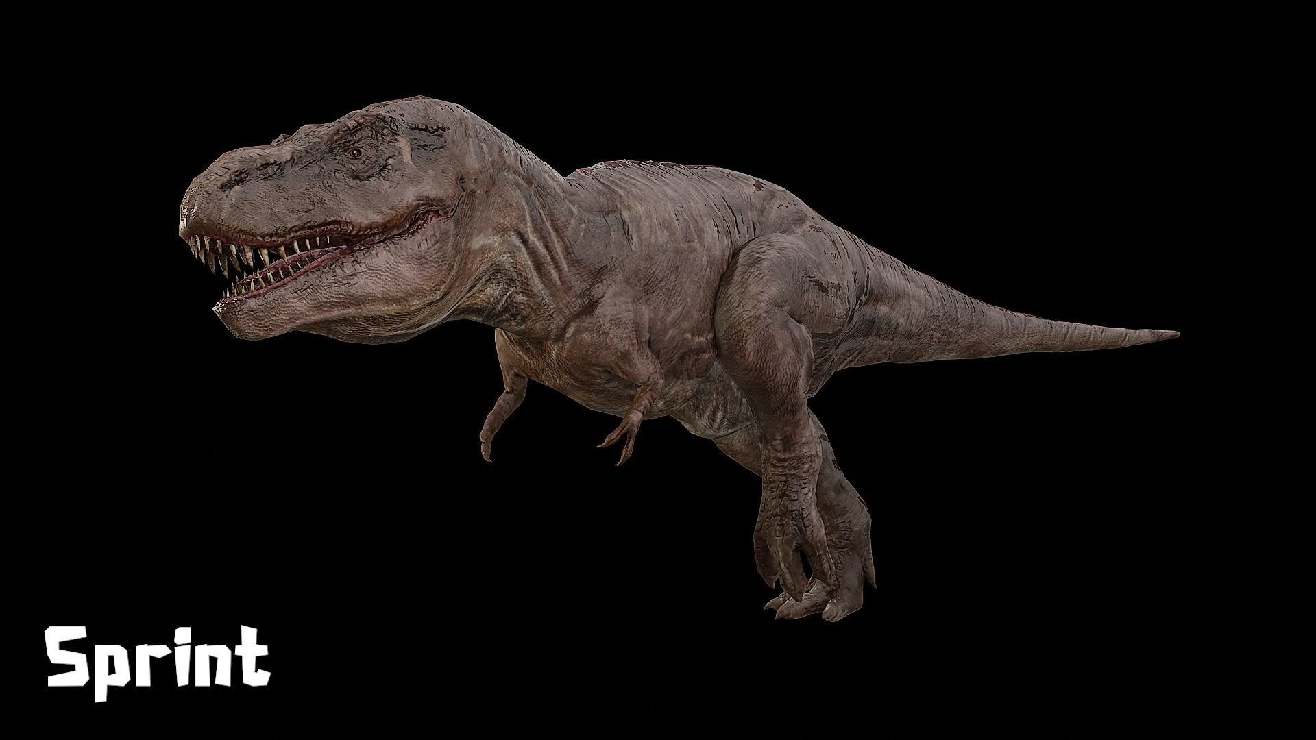 Tyrannosaurus - T-rex Dinosaur Low-poly 3D model_15