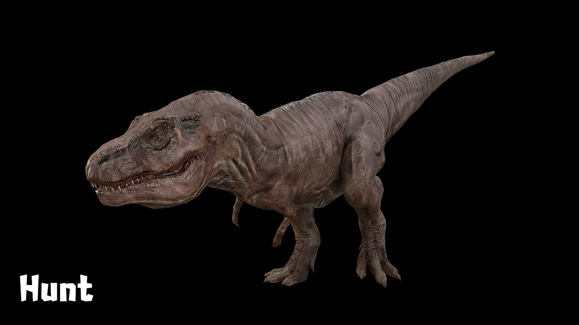 Tyrannosaurus - T-rex Dinosaur Low-poly 3D model_13