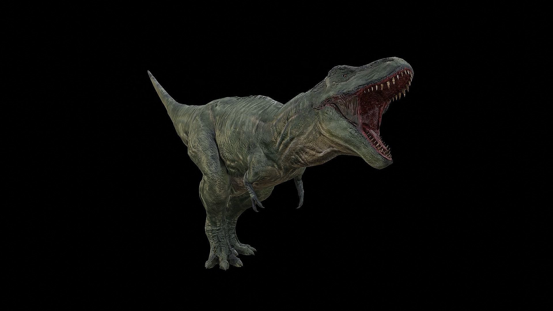 Tyrannosaurus - T-rex Dinosaur Low-poly 3D model_34