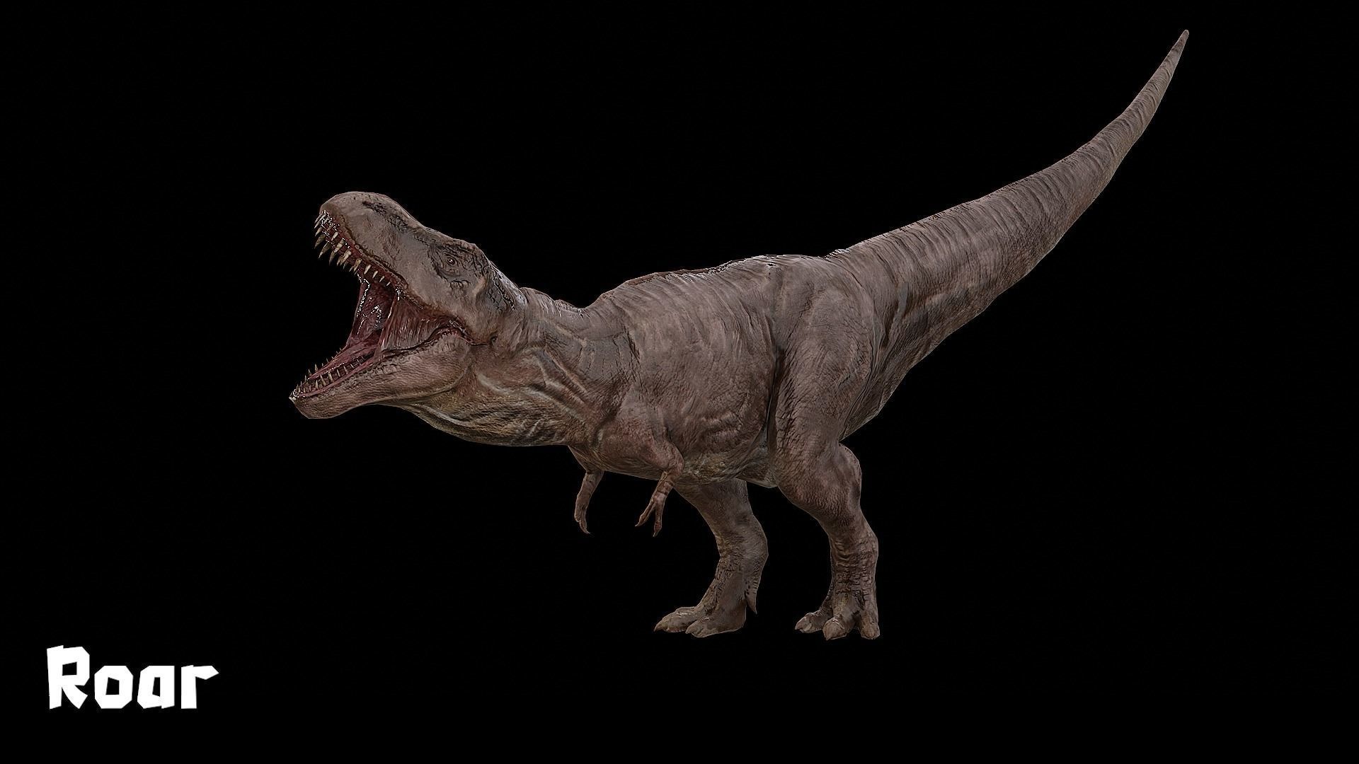 Tyrannosaurus - T-rex Dinosaur Low-poly 3D model_19