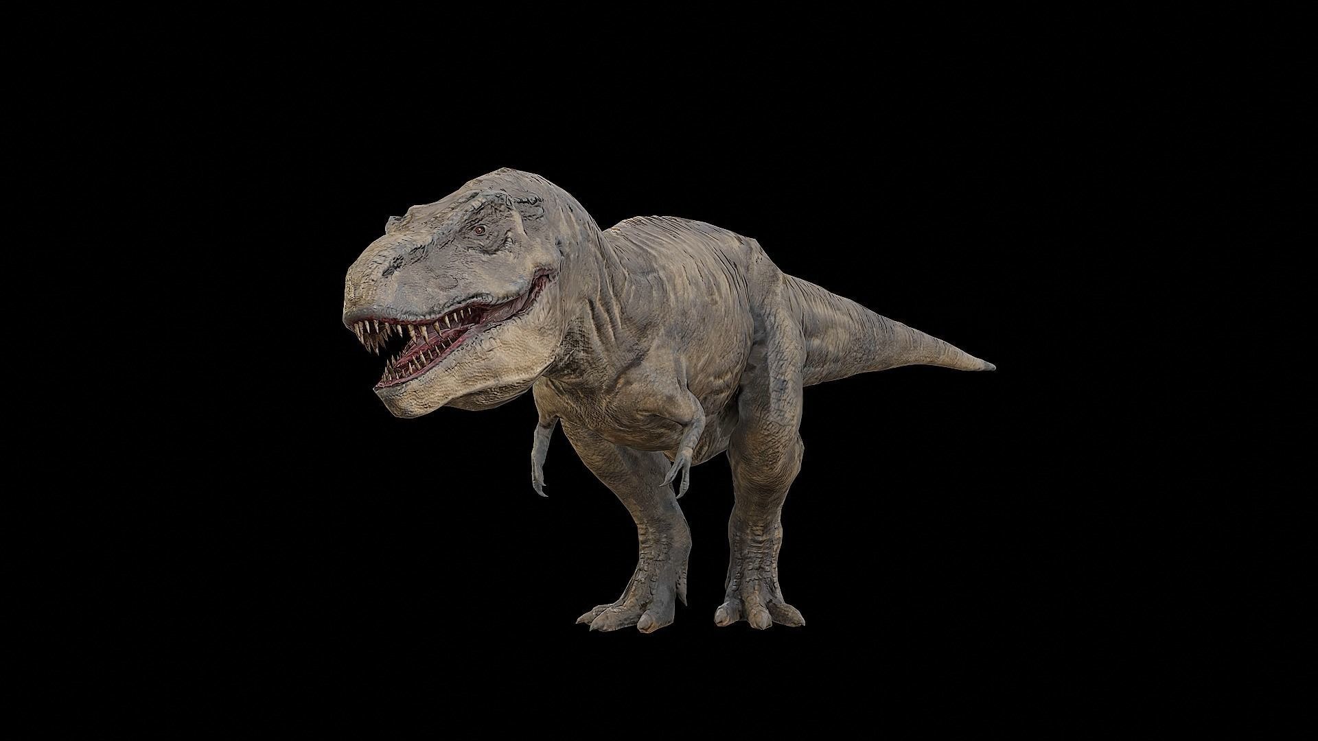 Tyrannosaurus - T-rex Dinosaur Low-poly 3D model_27