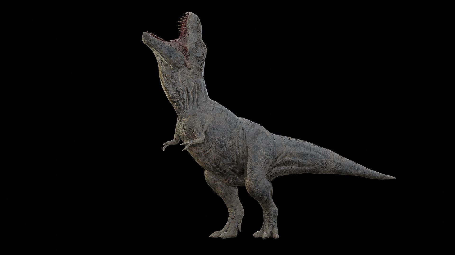 Tyrannosaurus - T-rex Dinosaur Low-poly 3D model_37