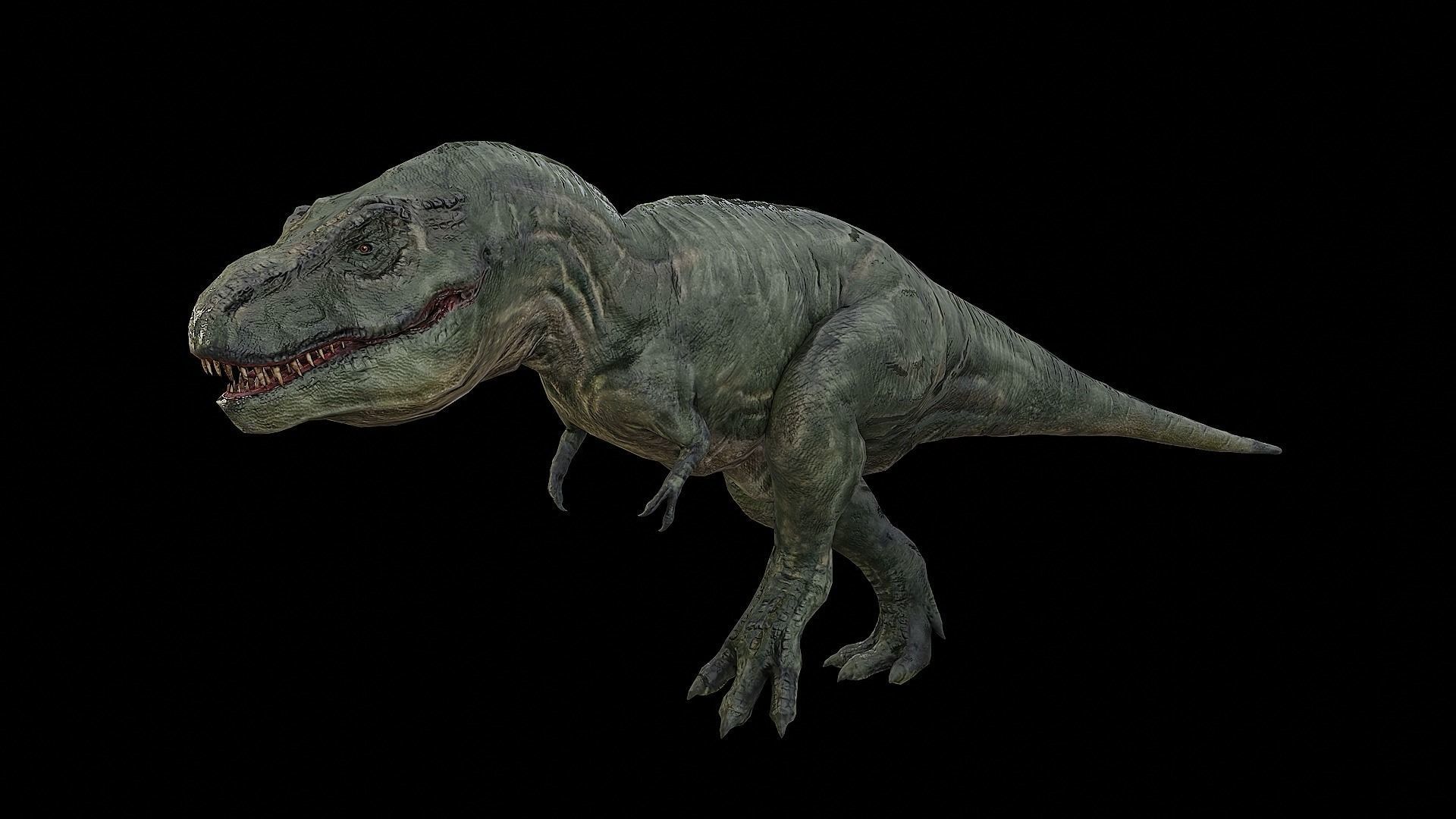 Tyrannosaurus - T-rex Dinosaur Low-poly 3D model_43