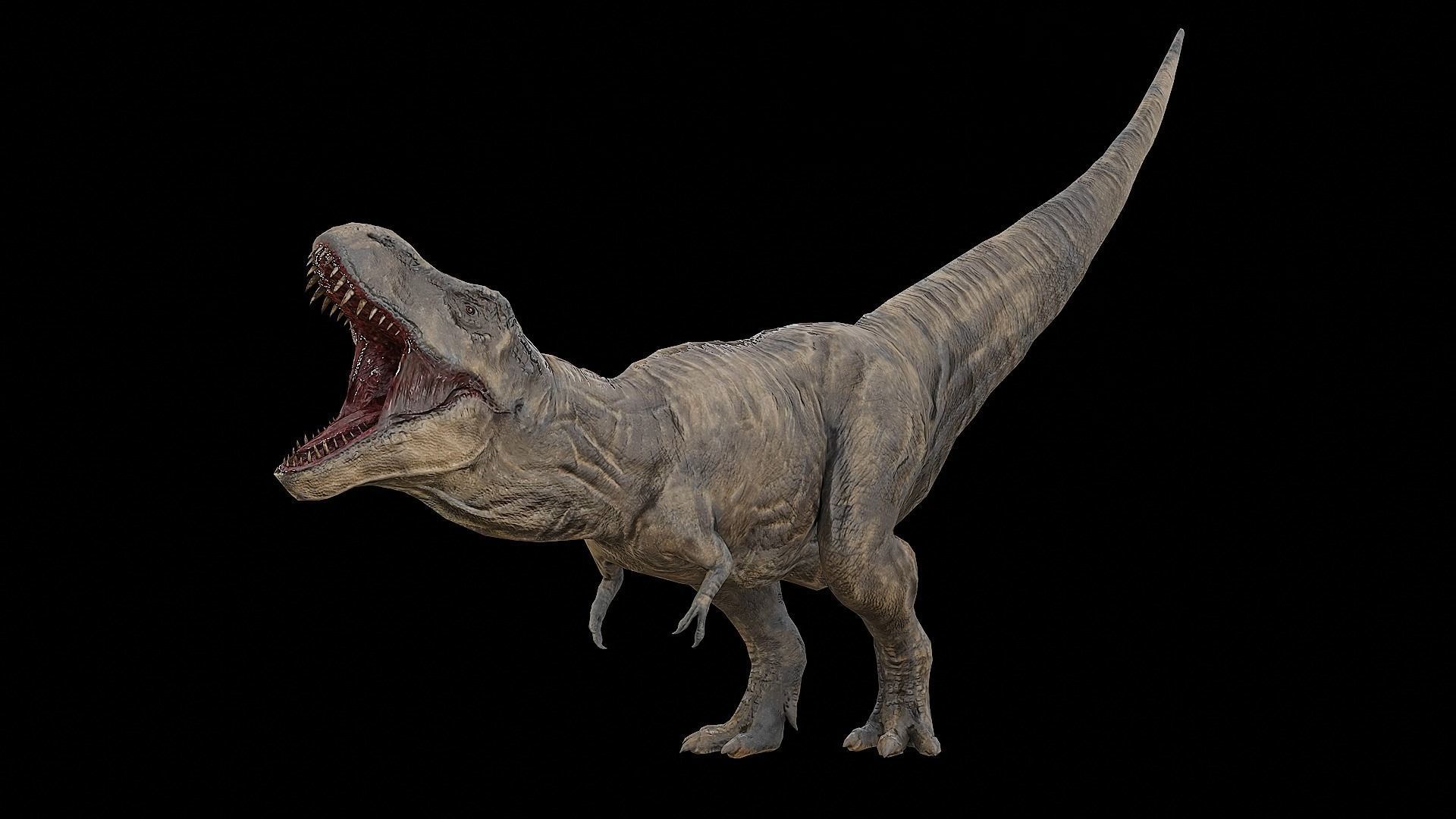 Tyrannosaurus - T-rex Dinosaur Low-poly 3D model_38