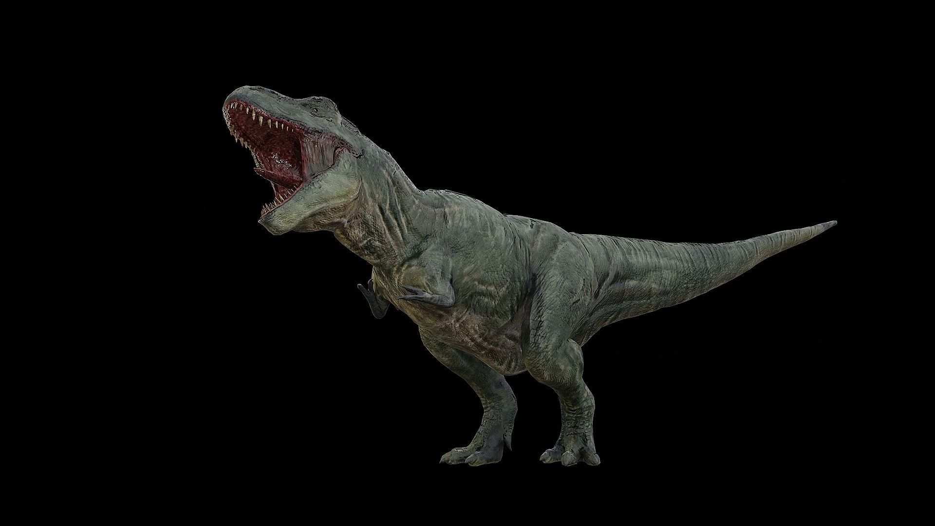 Tyrannosaurus - T-rex Dinosaur Low-poly 3D model_40