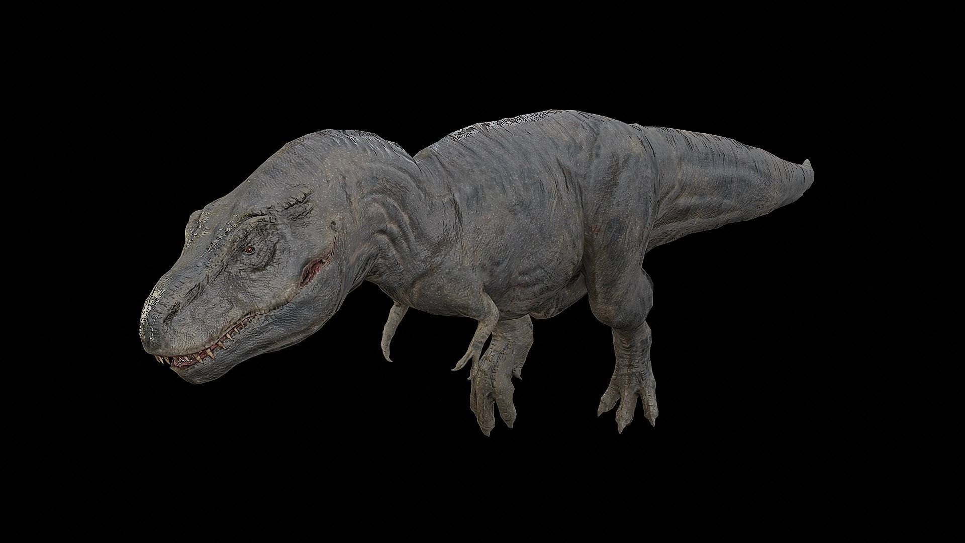 Tyrannosaurus - T-rex Dinosaur Low-poly 3D model_41