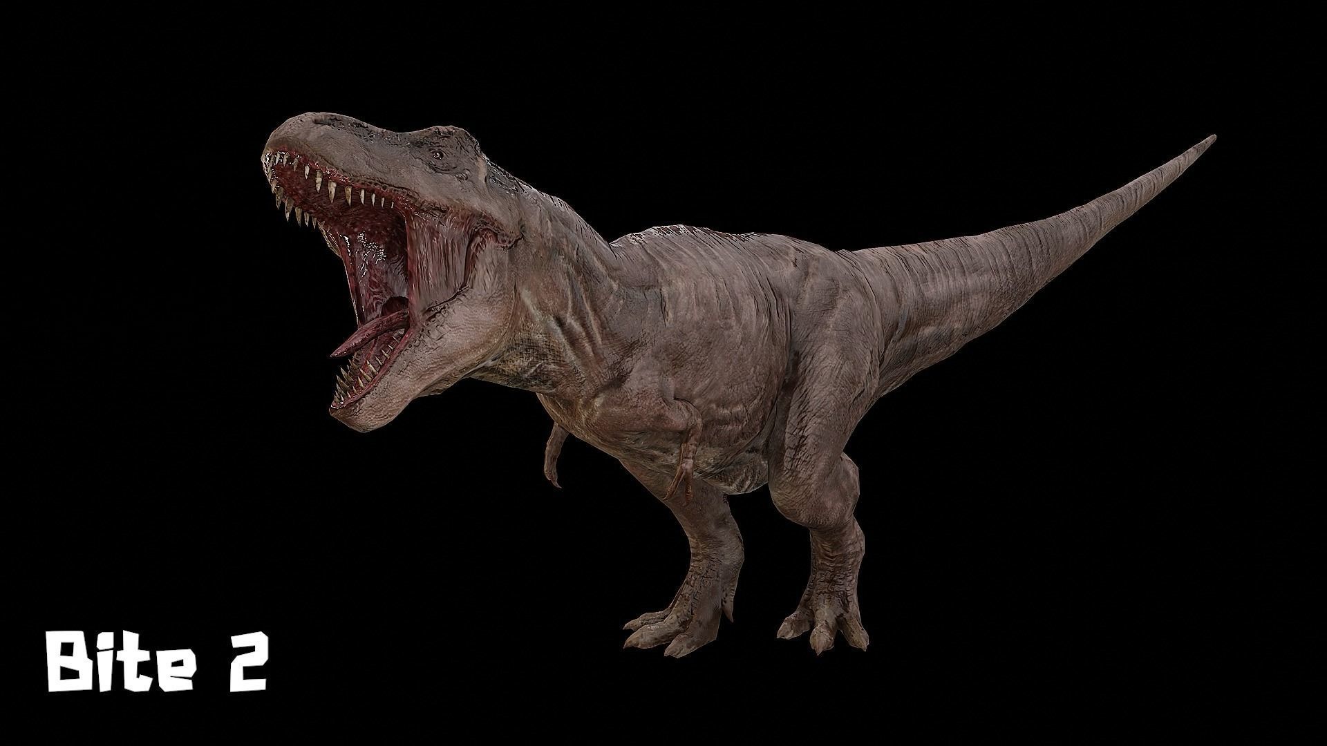 Tyrannosaurus - T-rex Dinosaur Low-poly 3D model_17