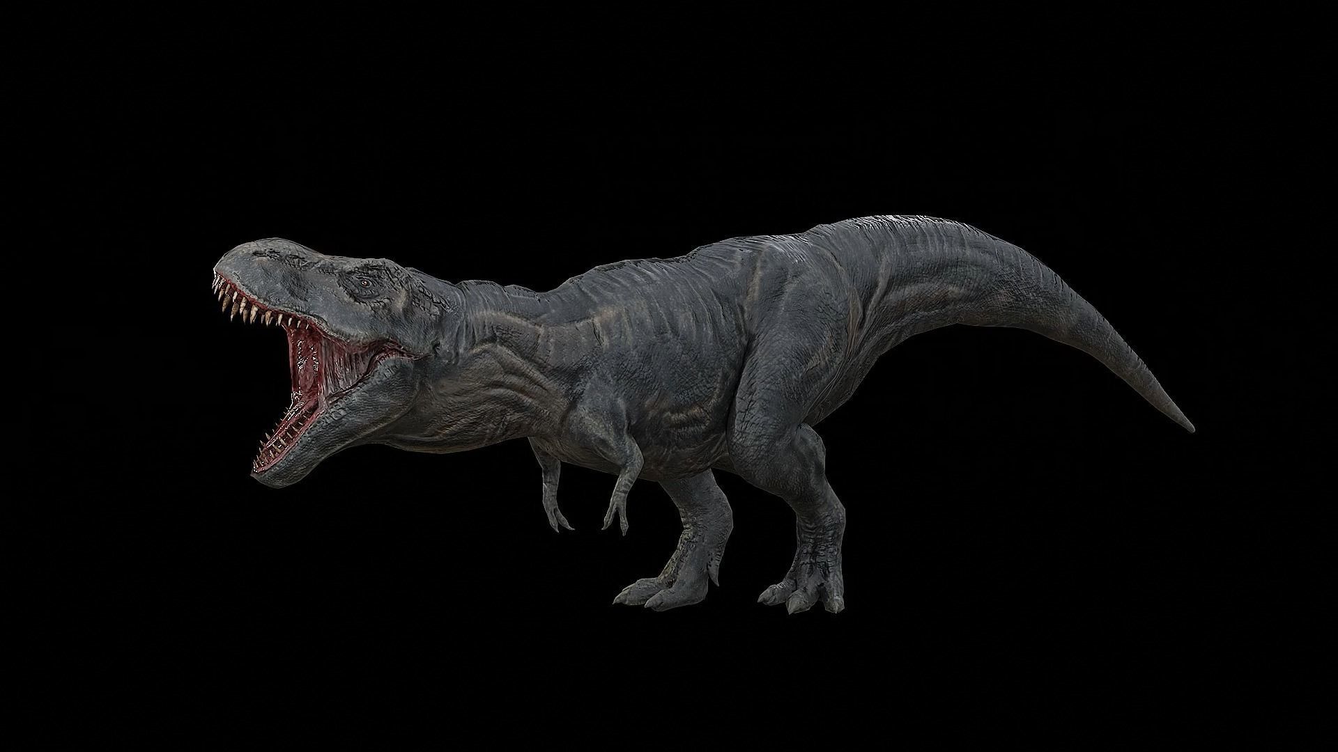 Tyrannosaurus - T-rex Dinosaur Low-poly 3D model_4