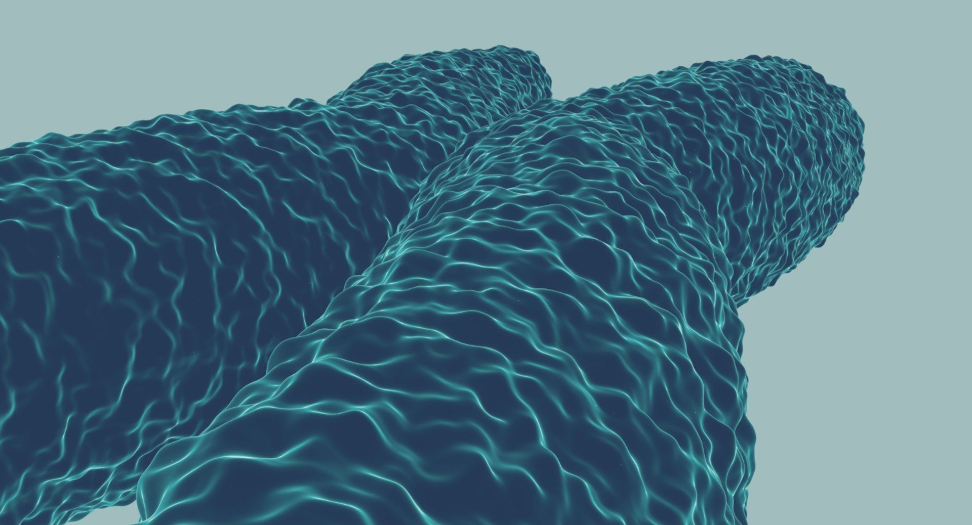 Chromosome 3D model 3D model_9