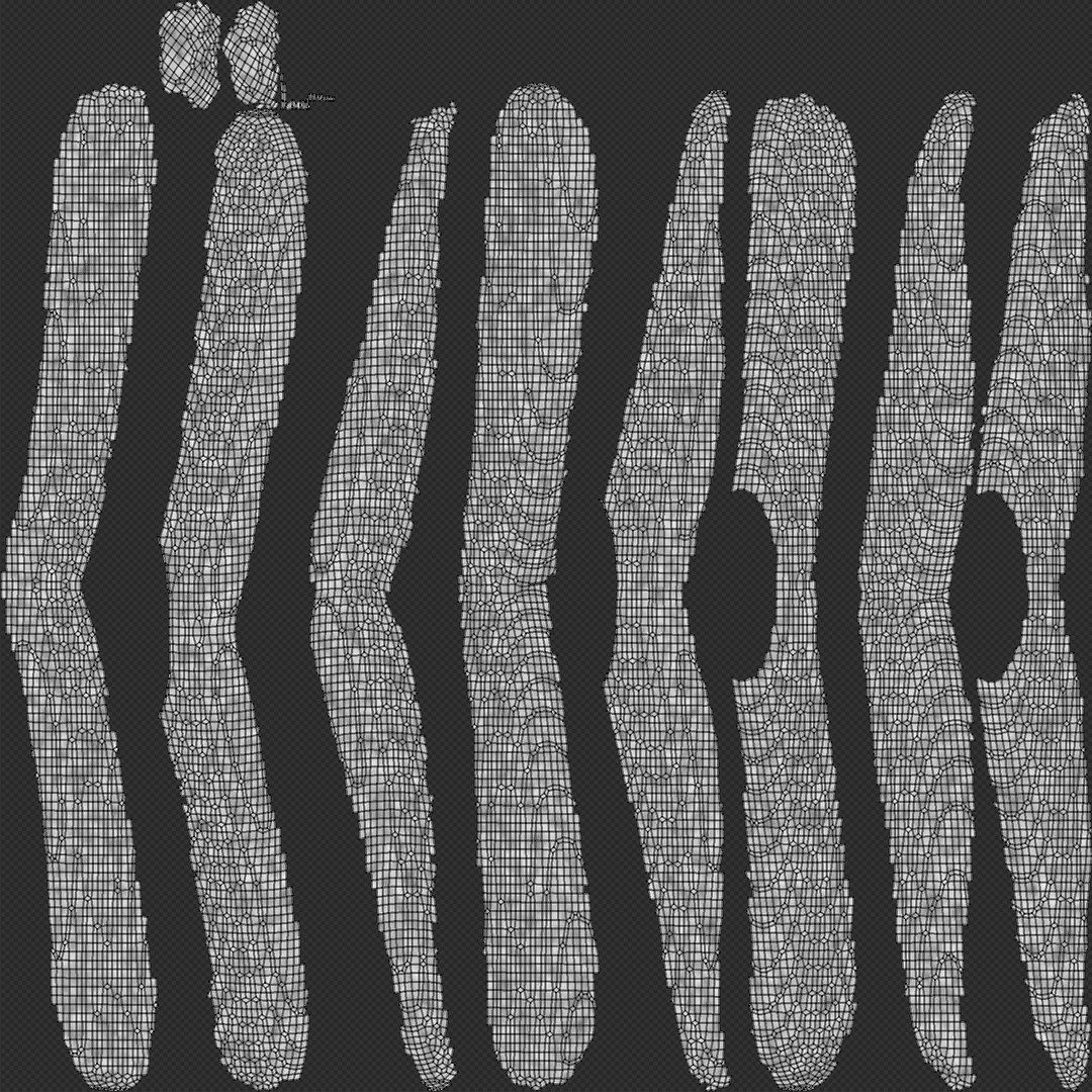 Chromosome 3D model 3D model_12