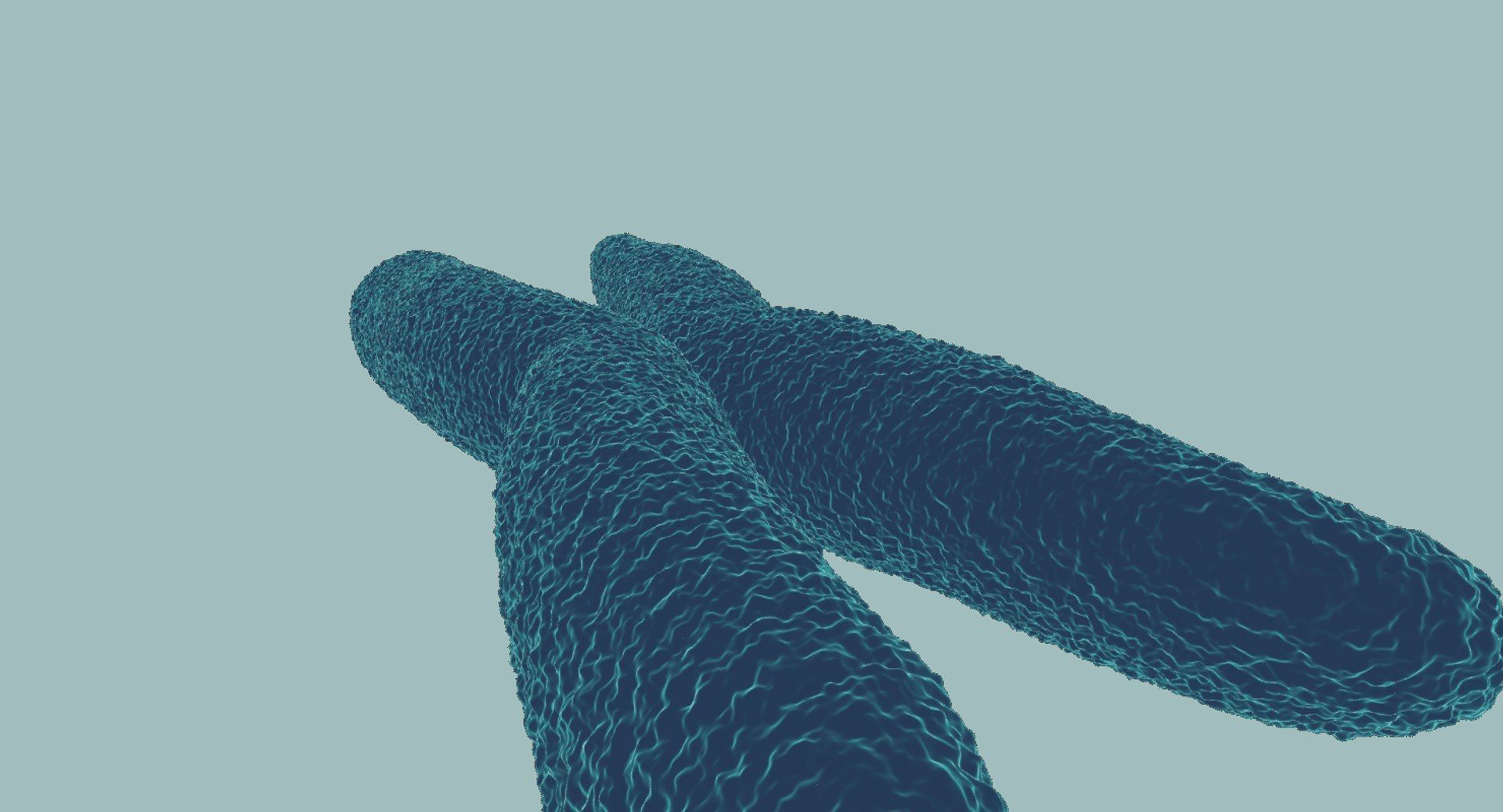 Chromosome 3D model 3D model_11