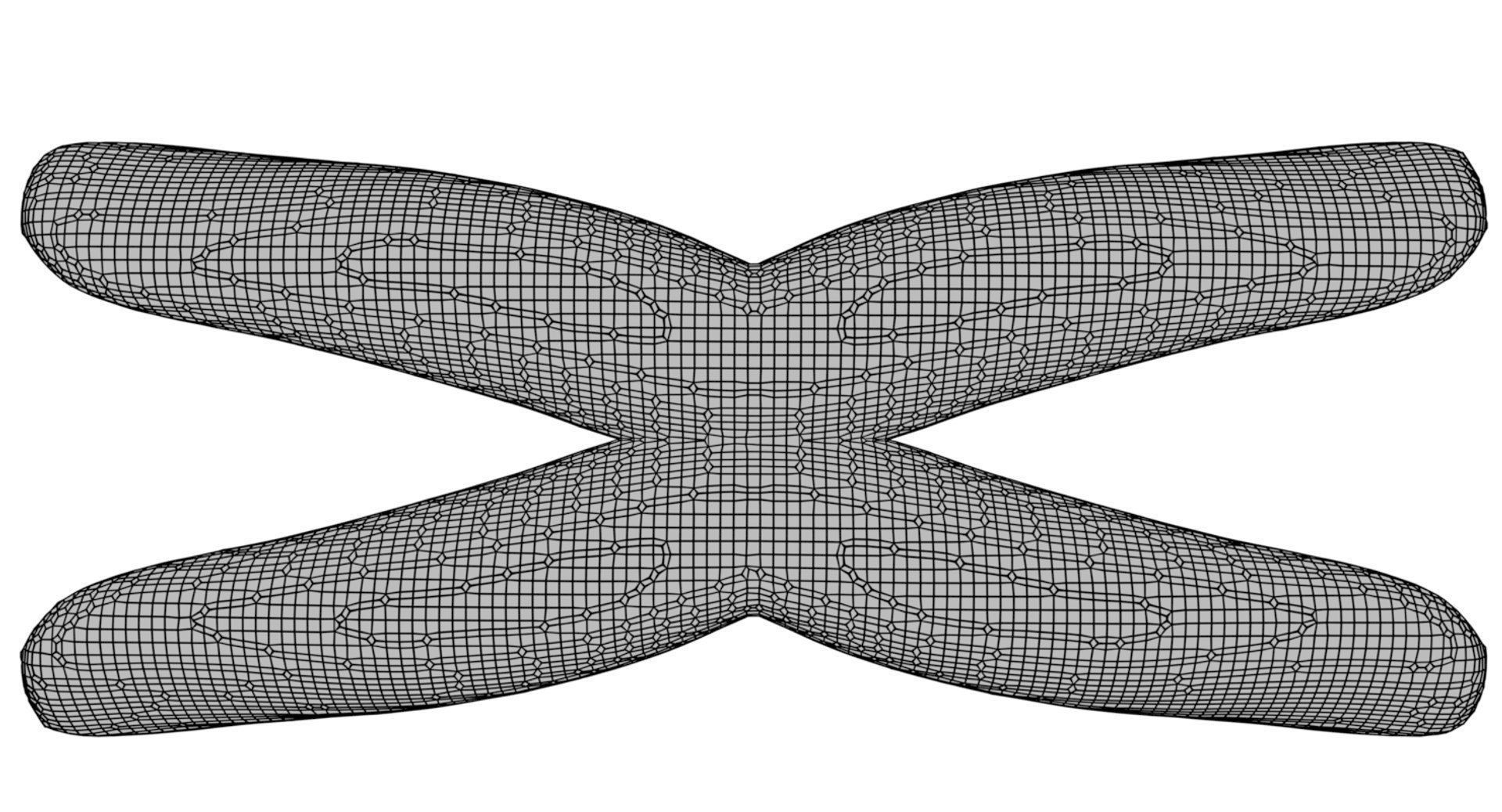 Chromosome 3D model 3D model_17