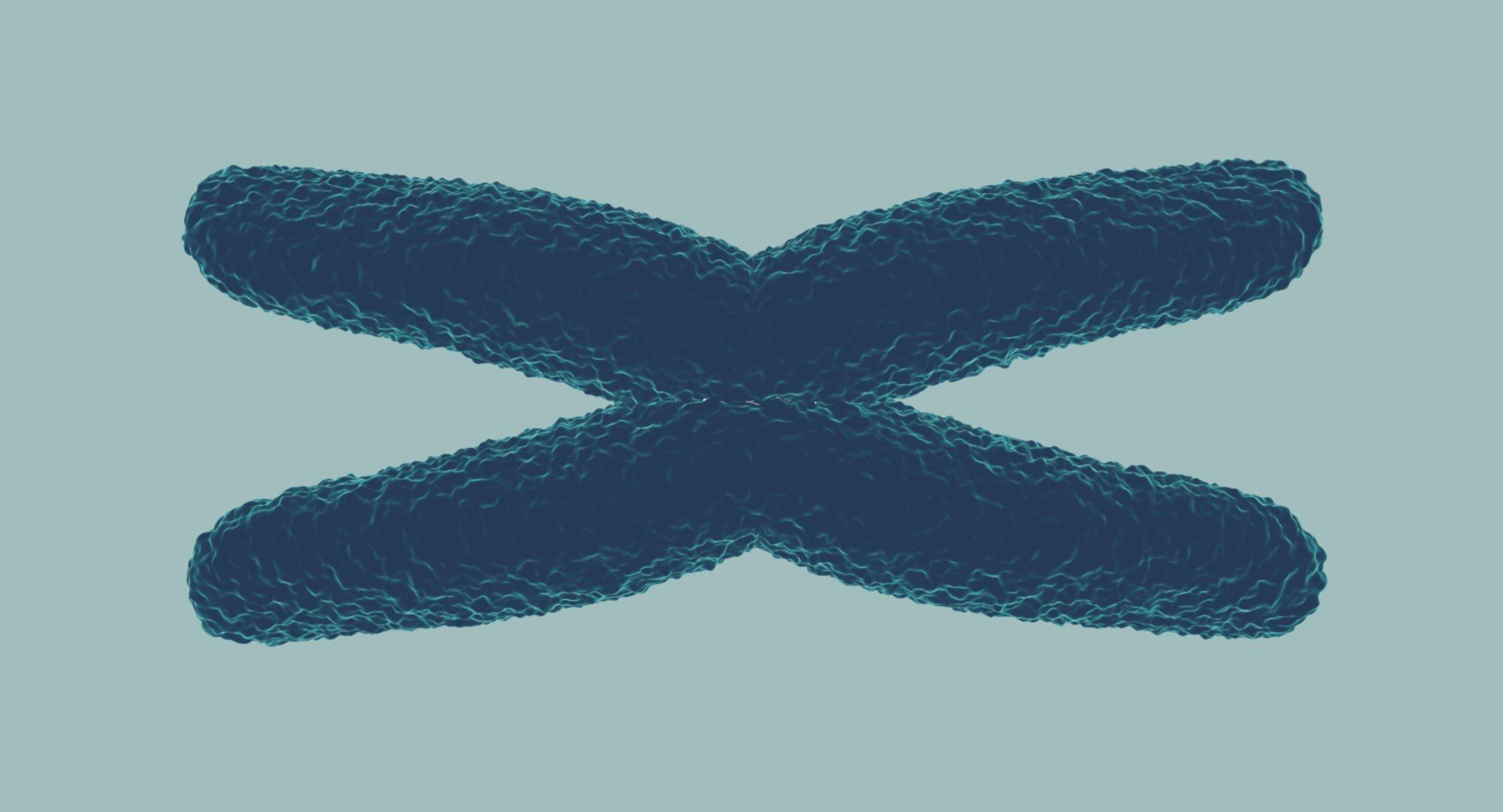 Chromosome 3D model 3D model_10