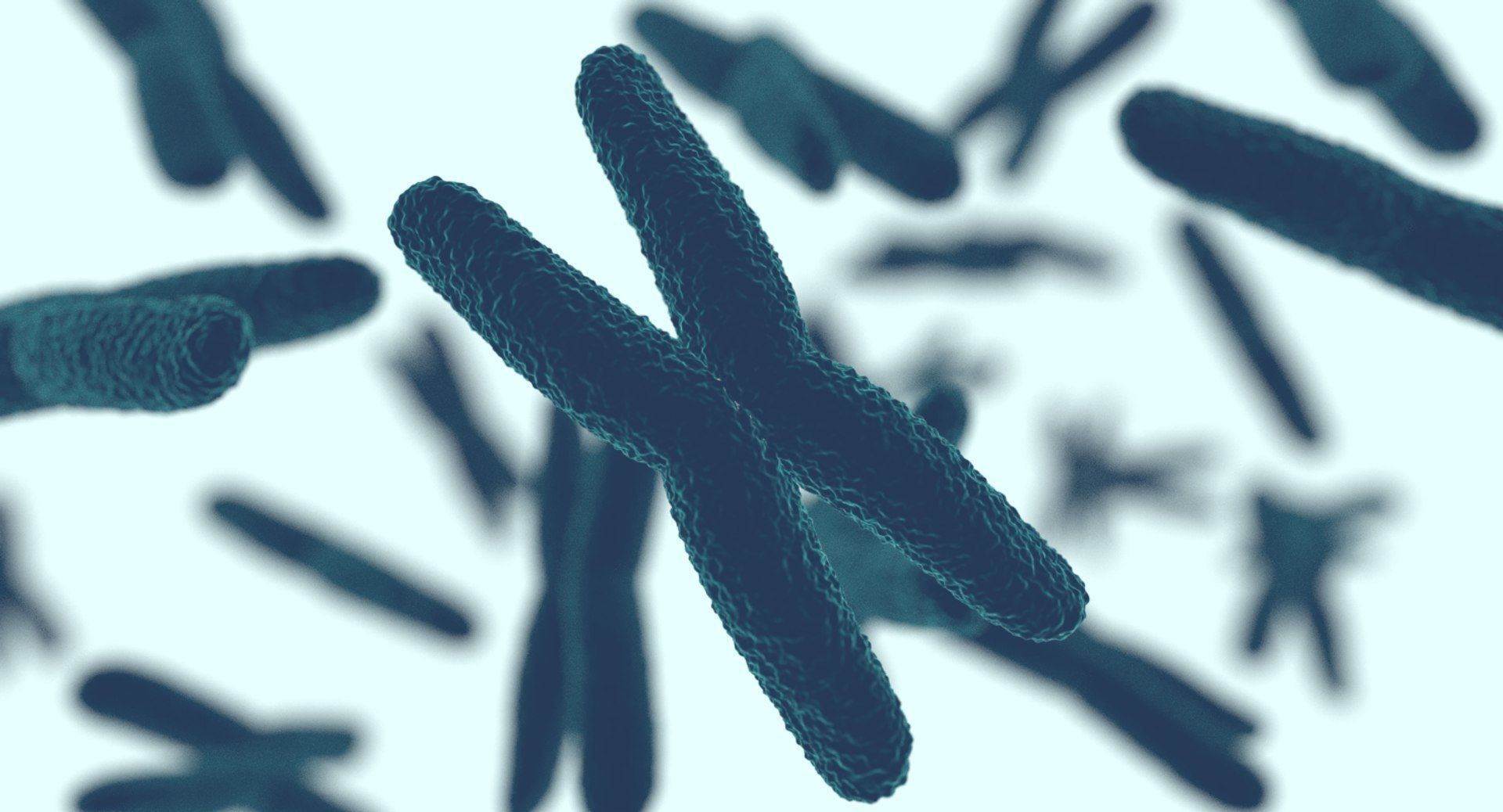 Chromosome 3D model 3D model_4