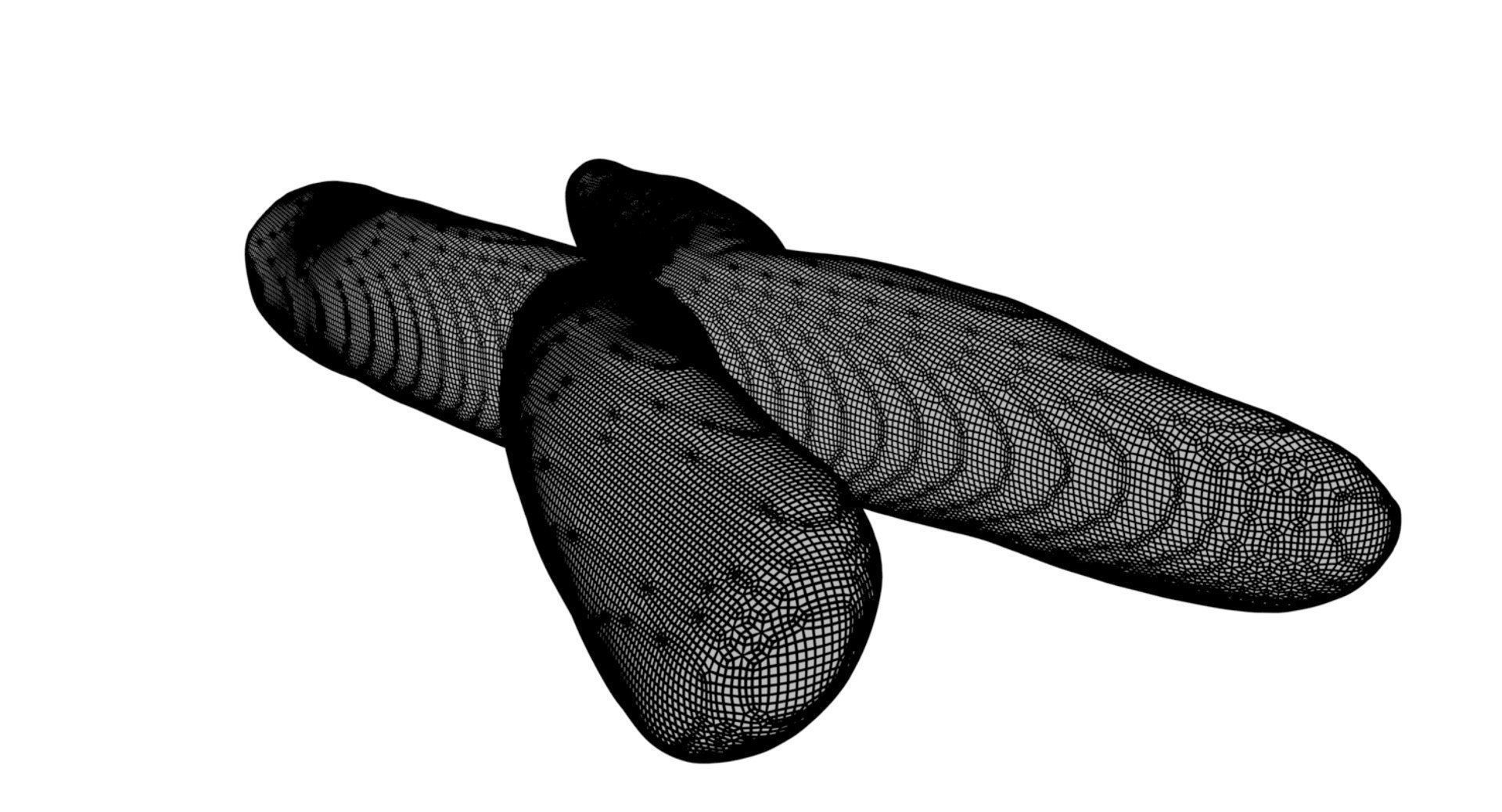 Chromosome 3D model 3D model_16