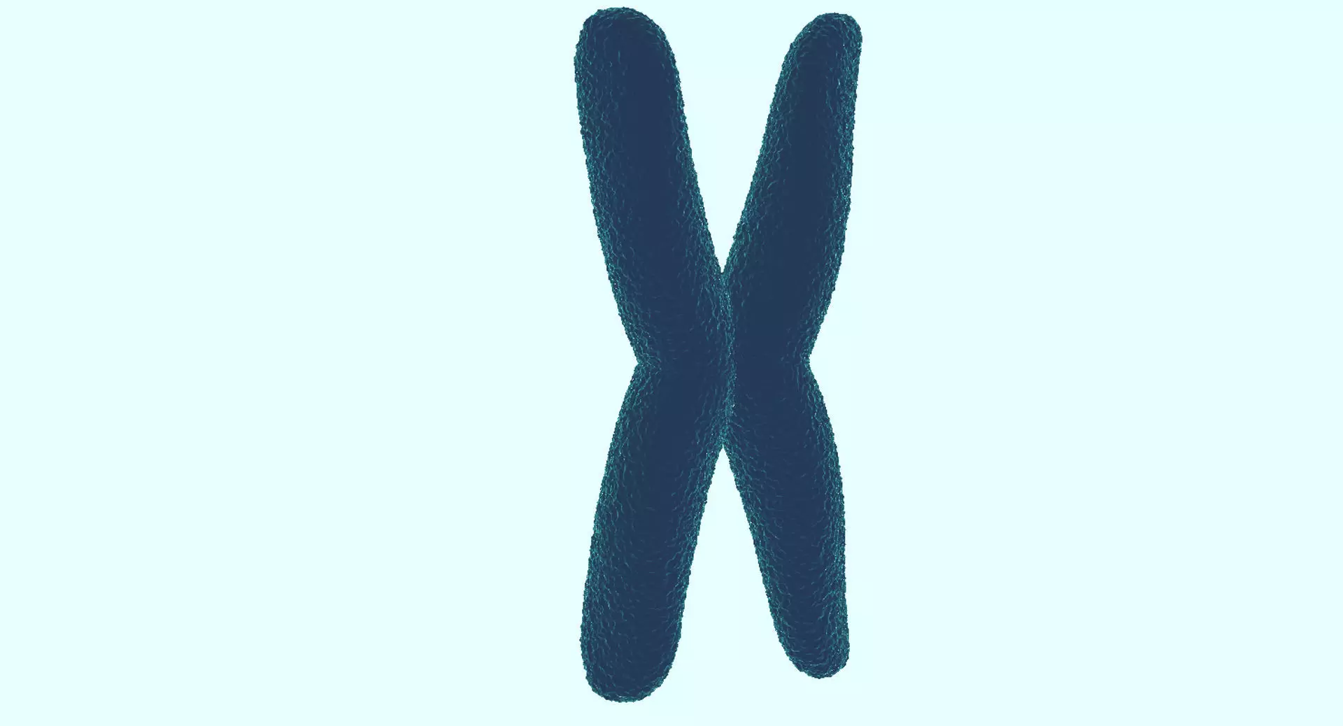 Chromosome 3D model 3D model_0