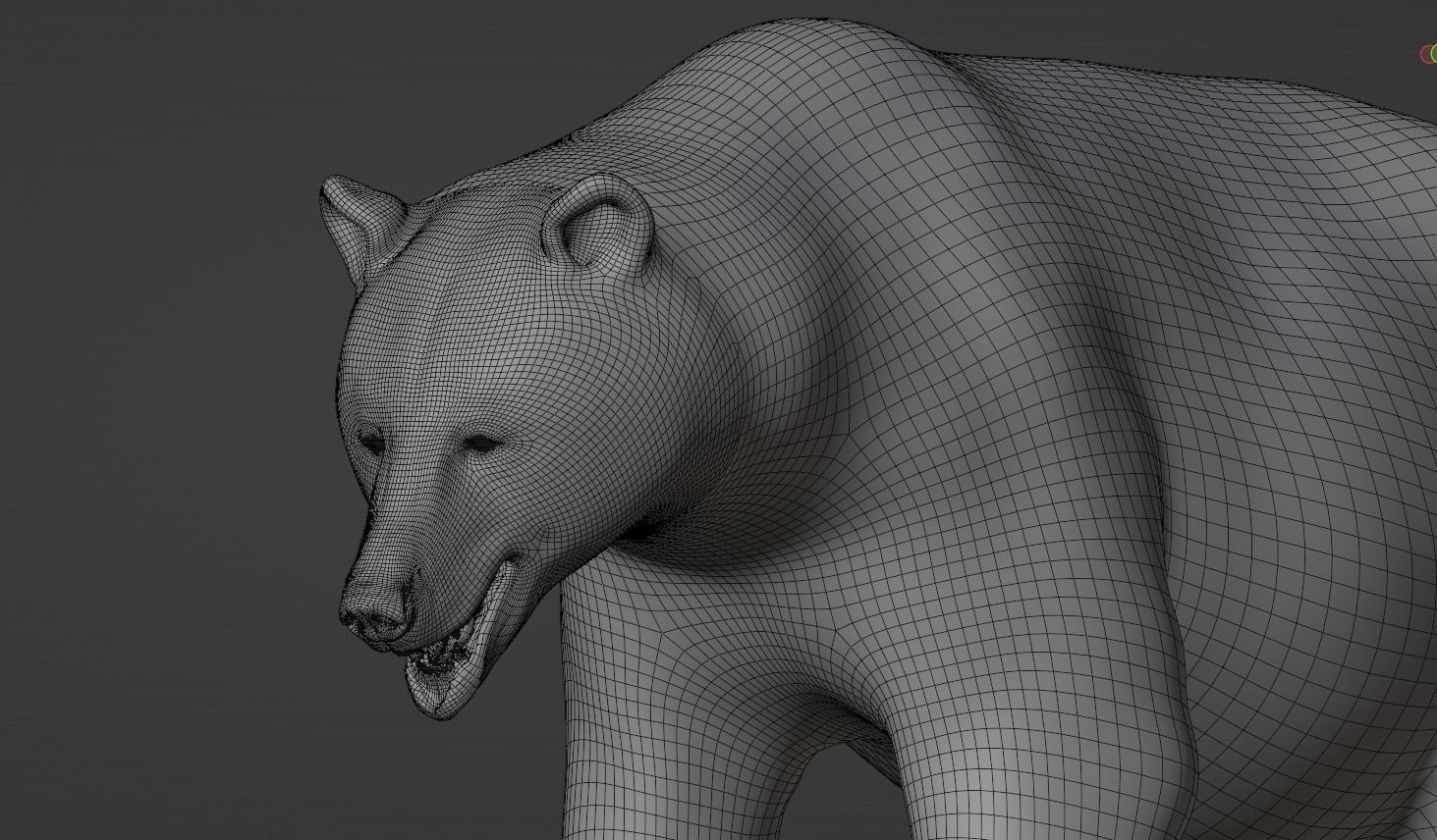 Marsican Bear 3D model_7