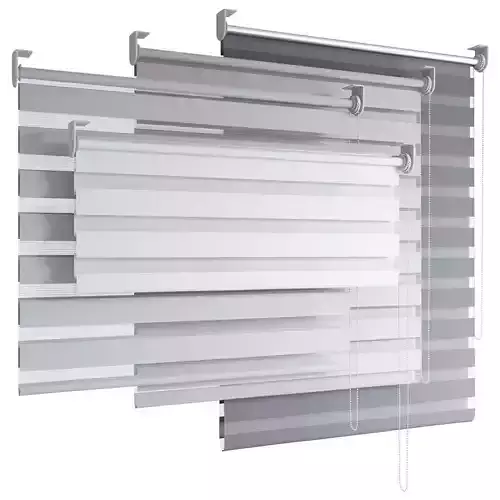 Woven Day and Night Zebra Dual Shades NEXT