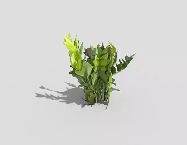 Low poly Plant