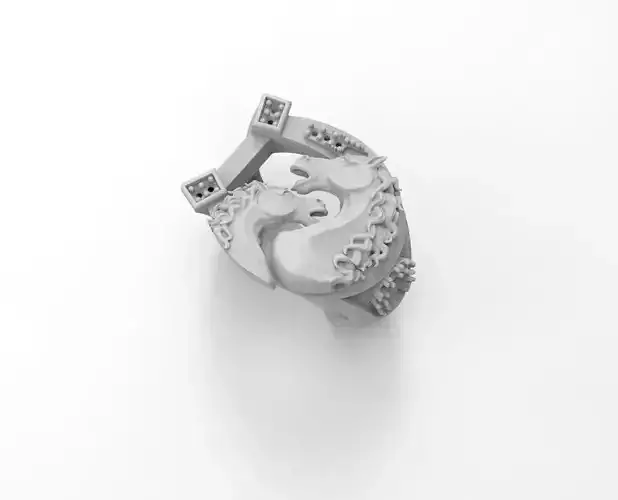 anillo herradura caballos 