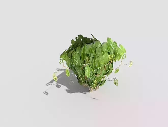 Low poly Plant cactus