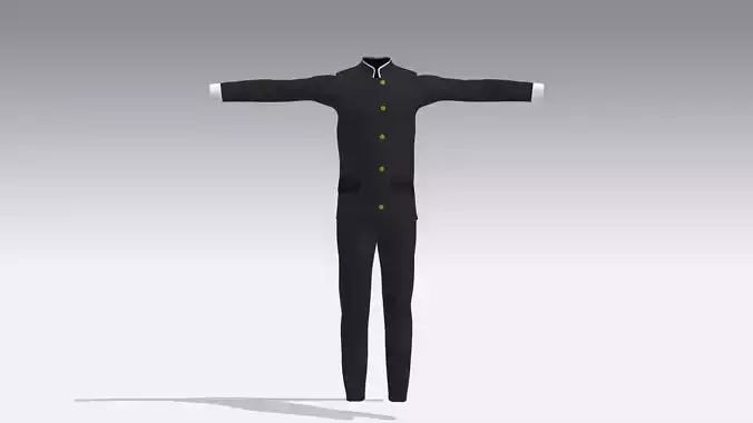 Gakuran School Uniform