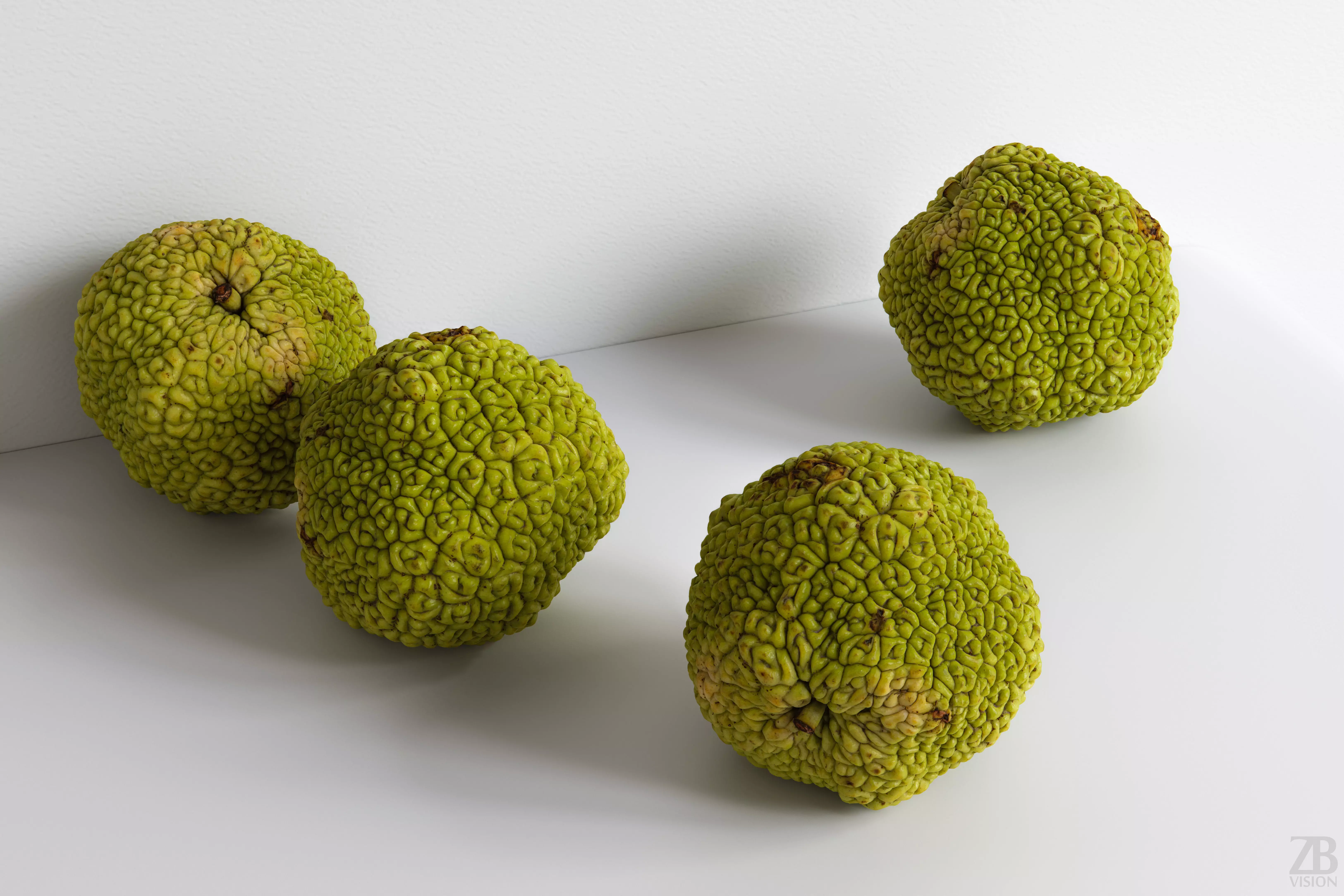 Osage Orange 3D model
