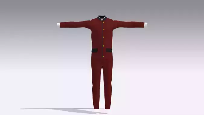 Gakuran School Uniform