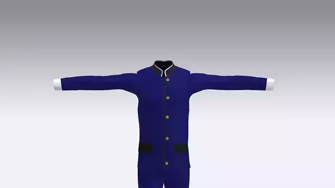 Gakuran School Uniform