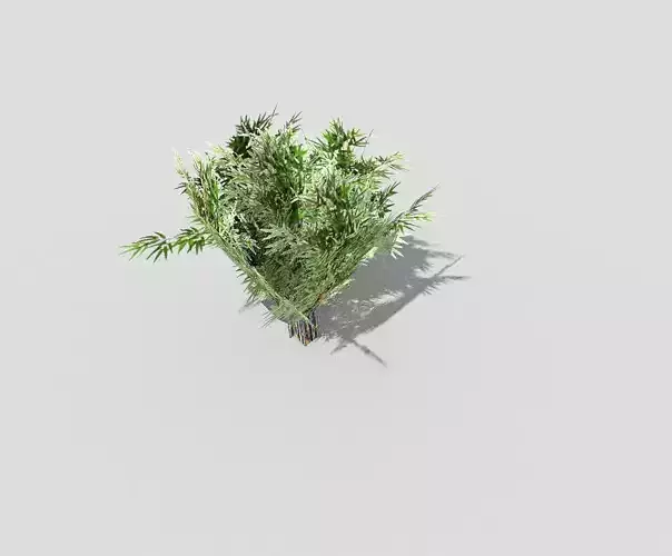 Low poly Plant