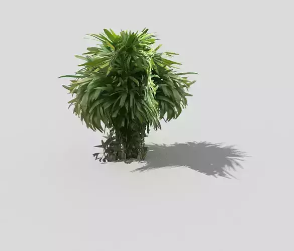 low poly shrub palm tree