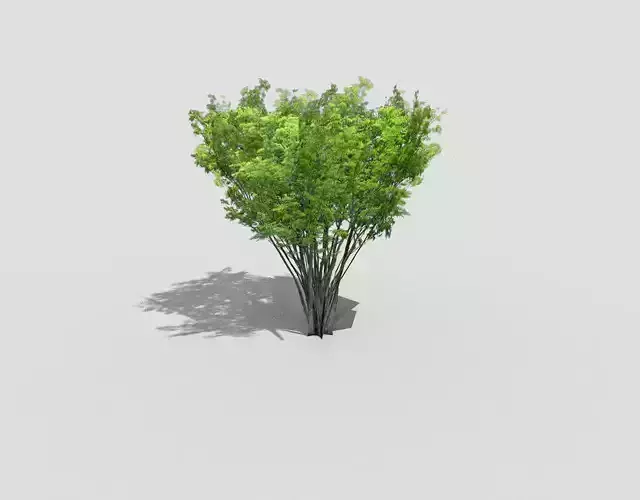 low poly tree