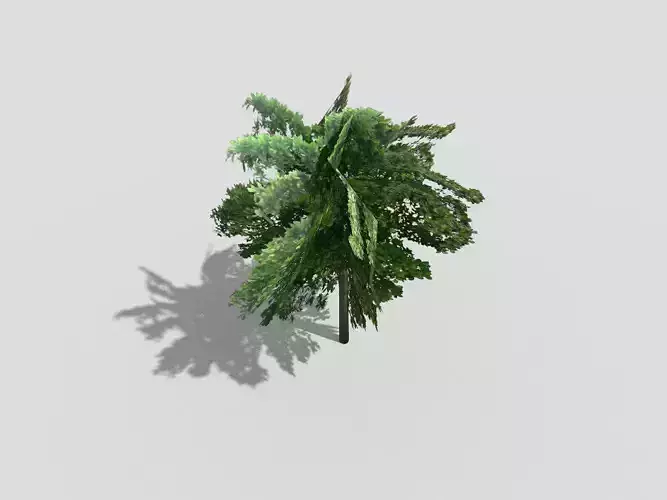 low poly tree