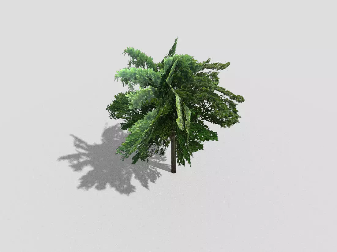 low poly tree Low-poly 3D model_0