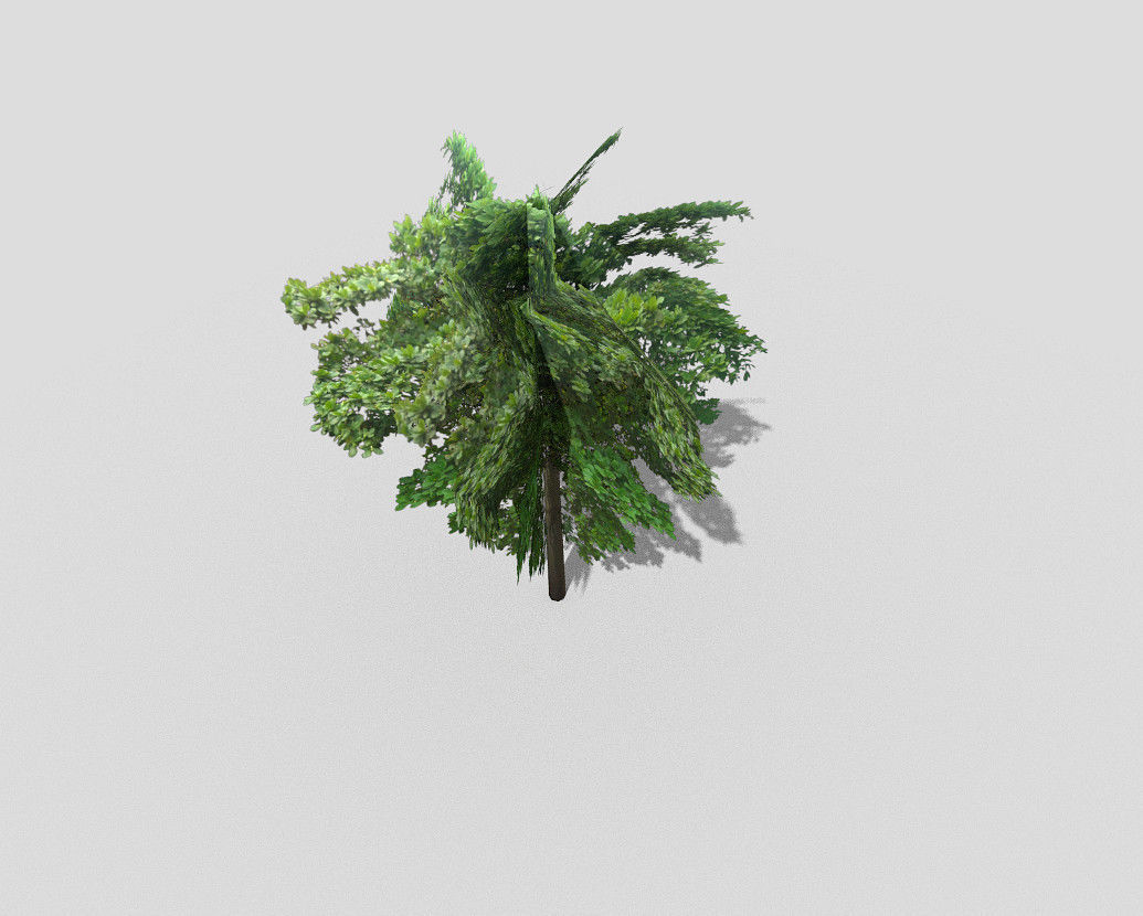 low poly tree Low-poly 3D model_2