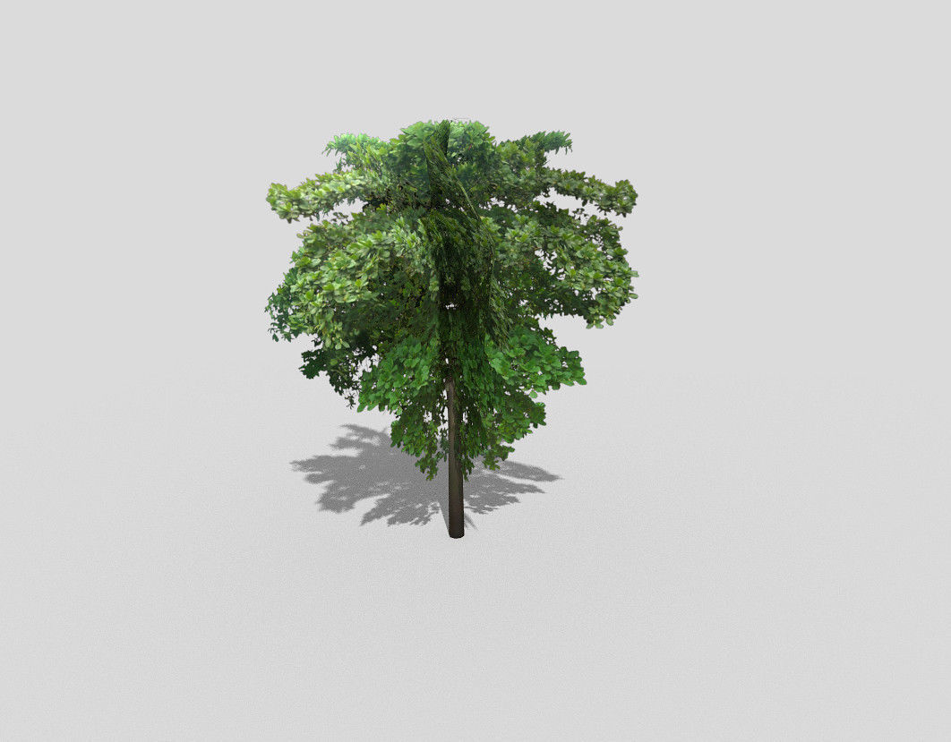 low poly tree Low-poly 3D model_1