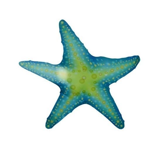 Rigged plane sea star fish  Free 3D model
