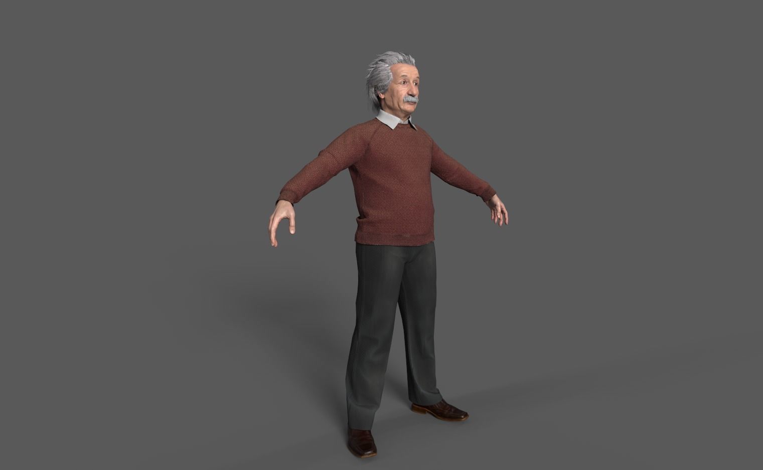 Albert Einstein 3D Model 3D model_9