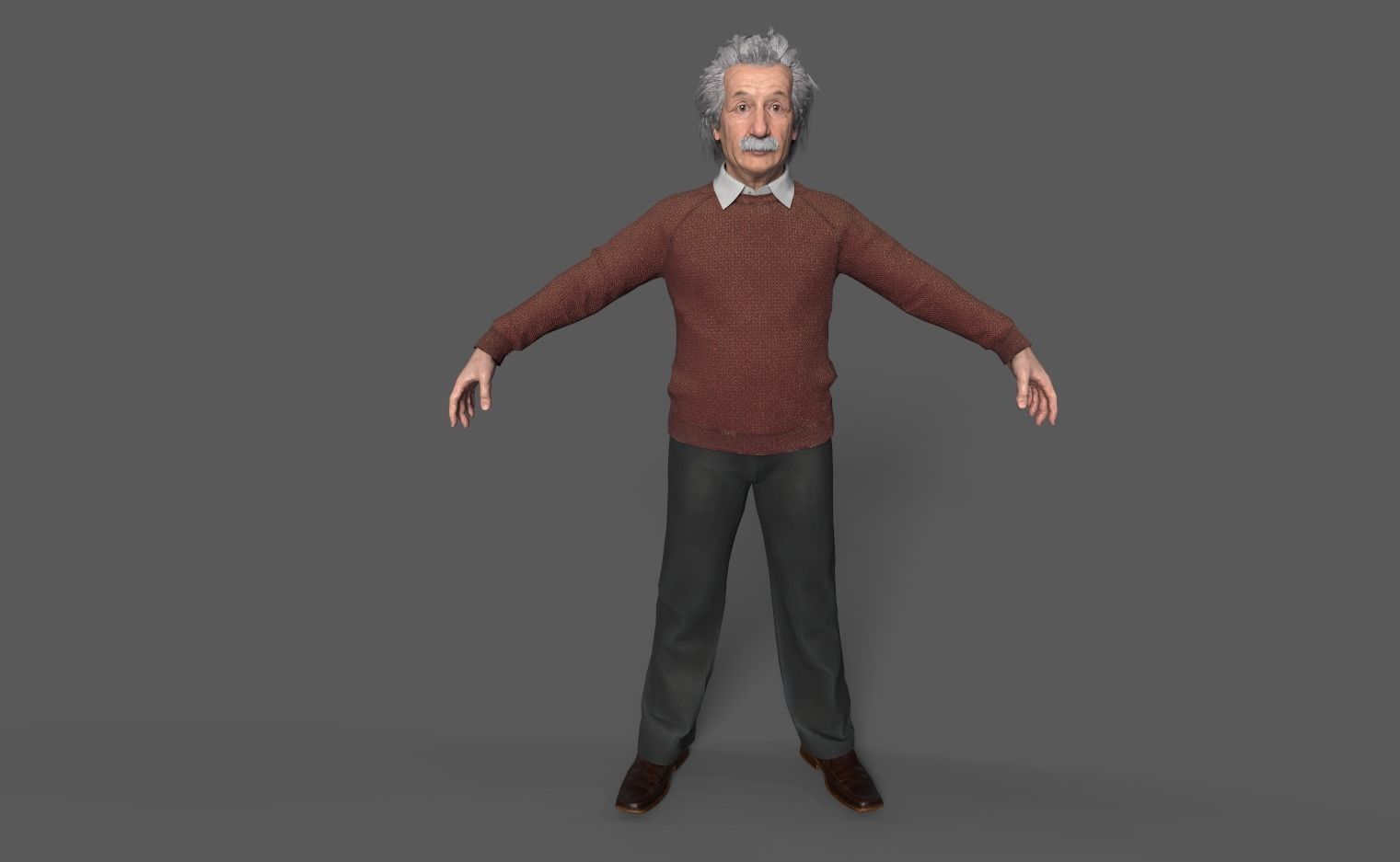 Albert Einstein 3D Model 3D model_8