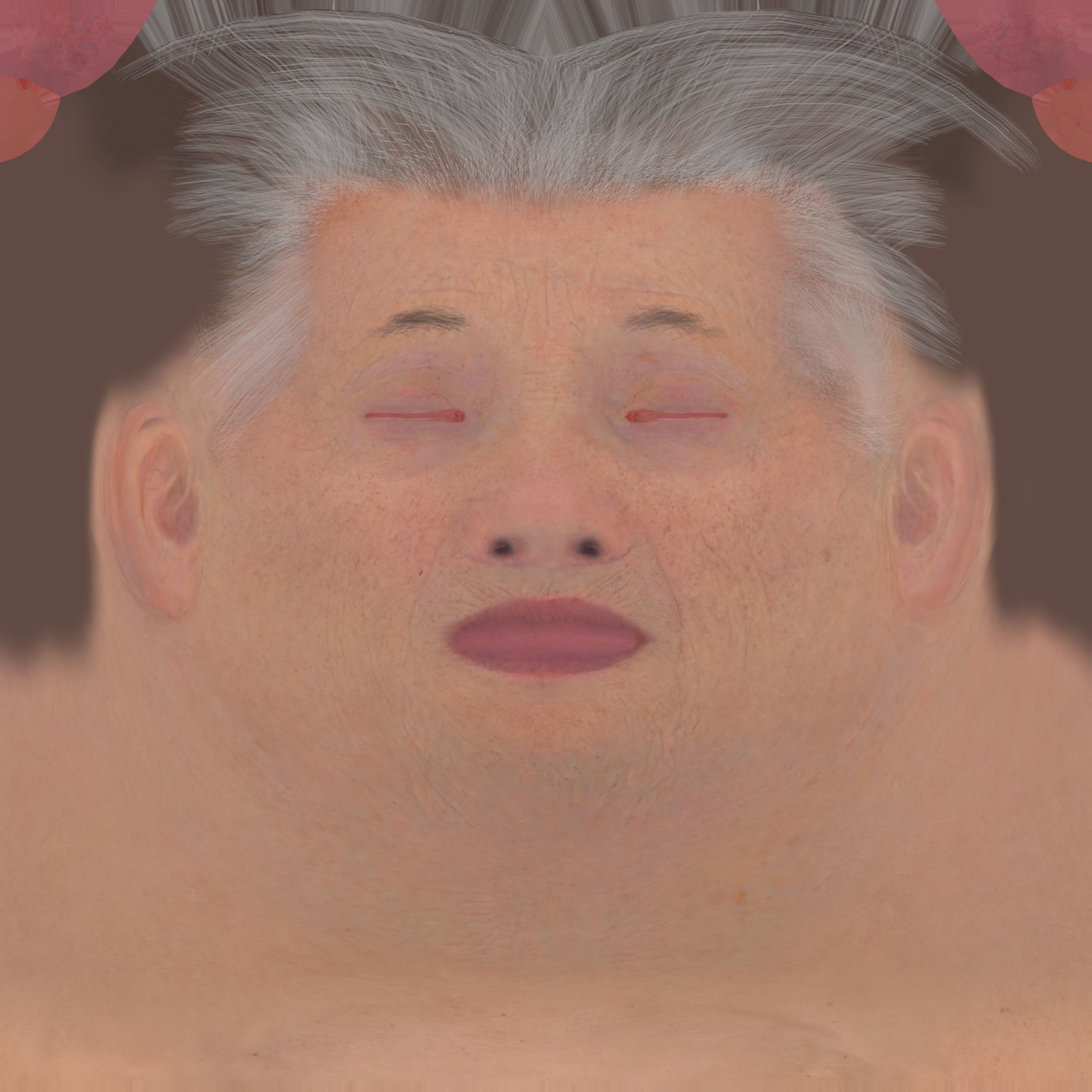 Albert Einstein 3D Model 3D model_13