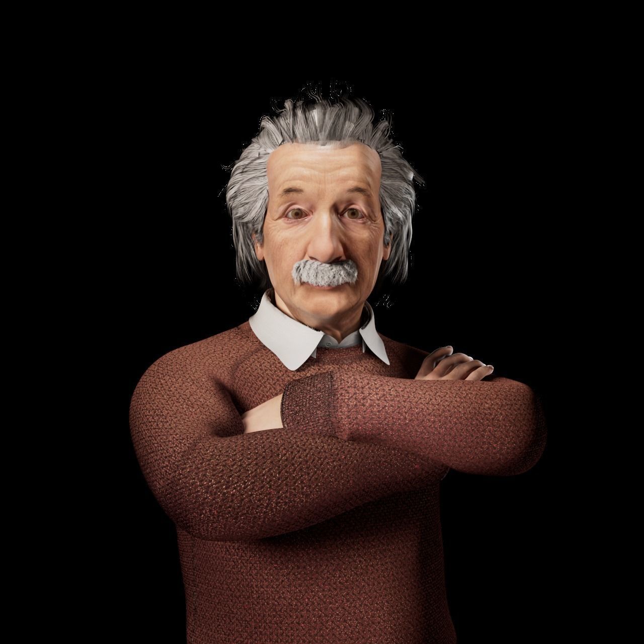 Albert Einstein 3D Model 3D model_3