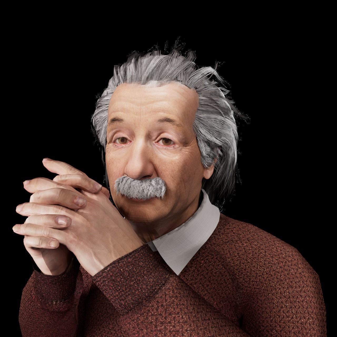 Albert Einstein 3D Model 3D model_1