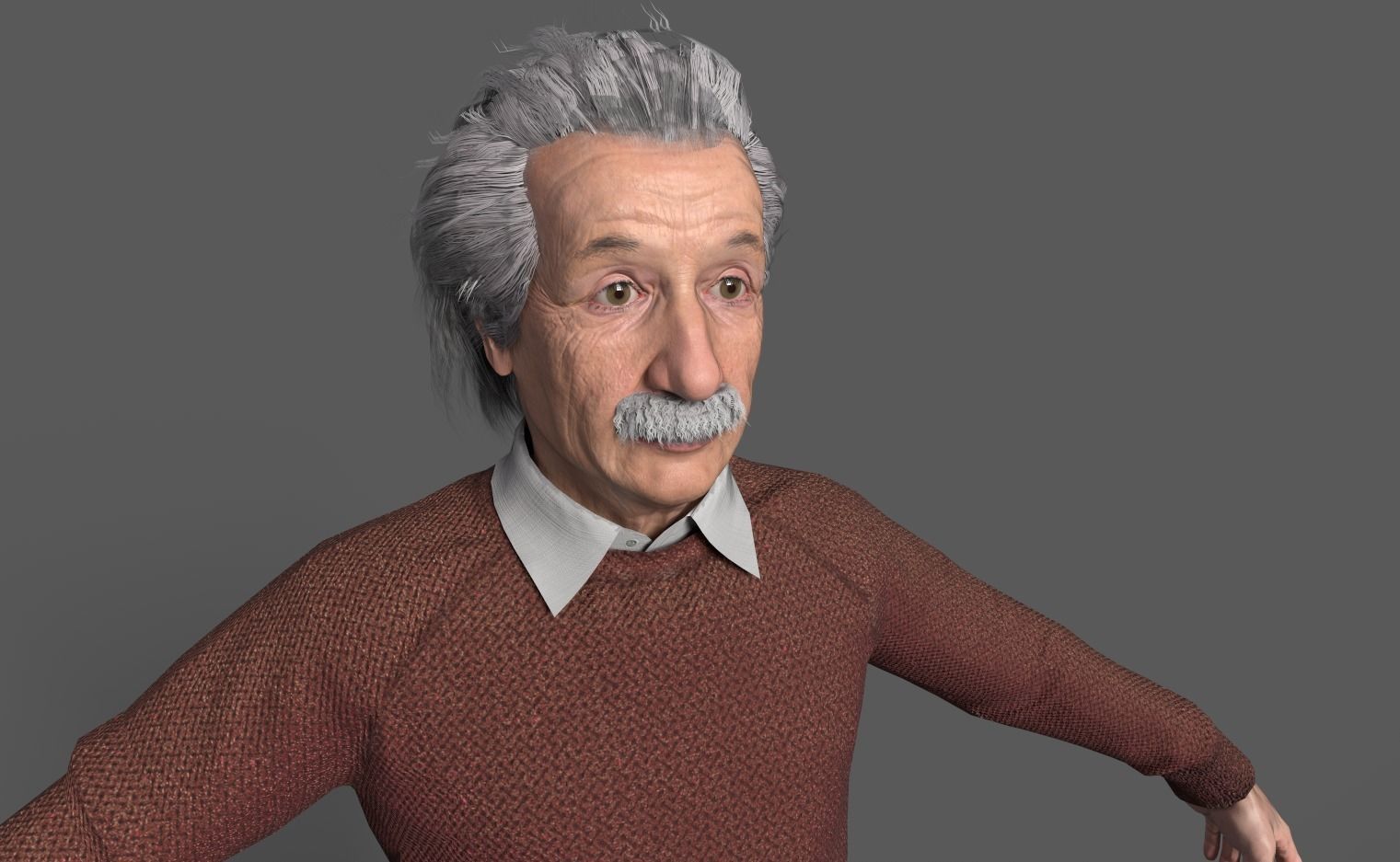 Albert Einstein 3D Model 3D model_7