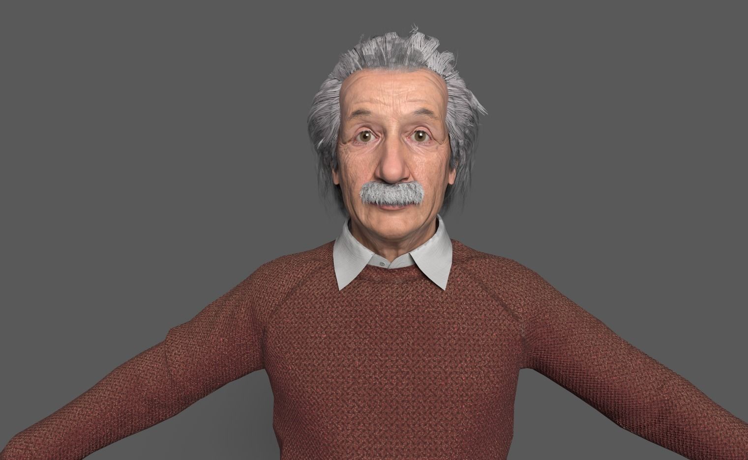 Albert Einstein 3D Model 3D model_6