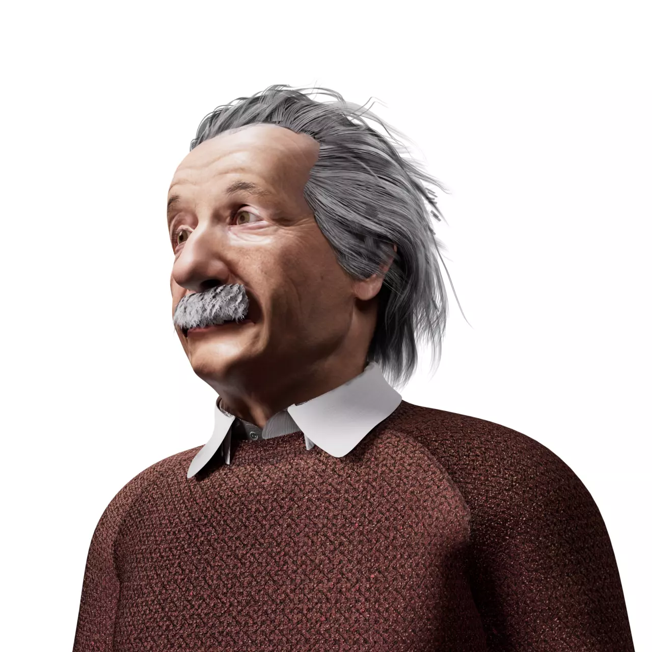 Albert Einstein 3D Model 3D model_0