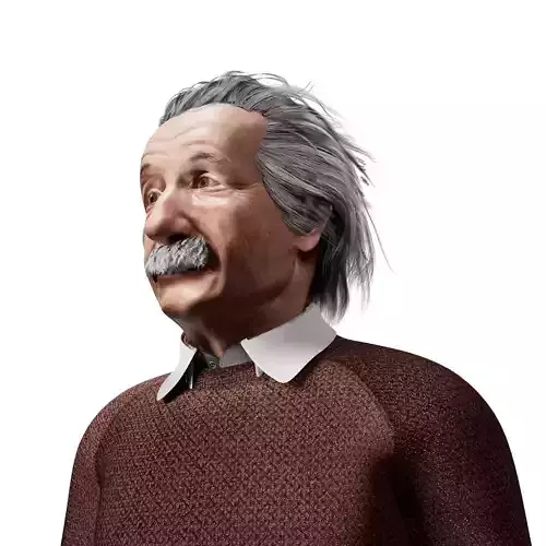 Albert Einstein 3D Model 3D model