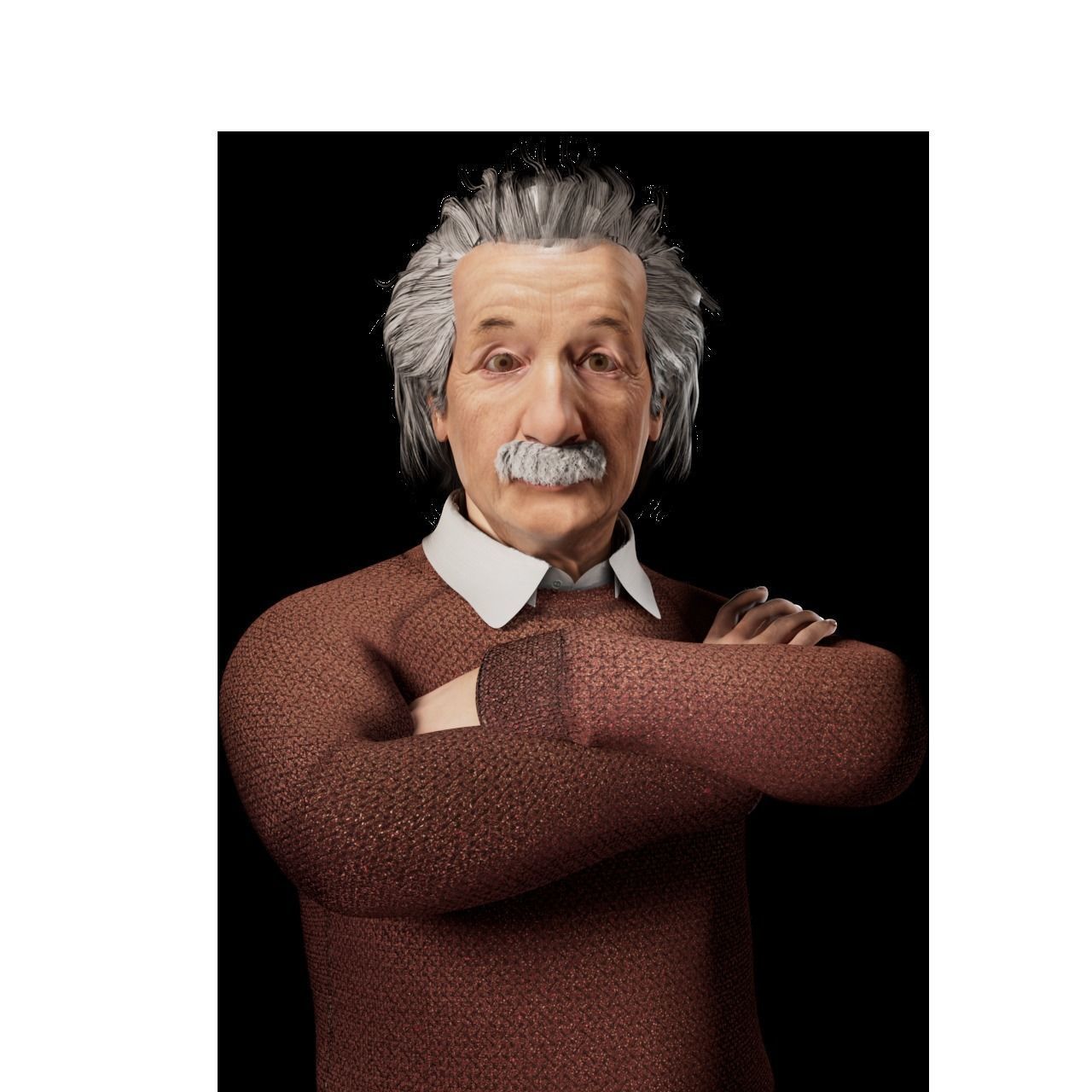 Albert Einstein 3D Model 3D model_2