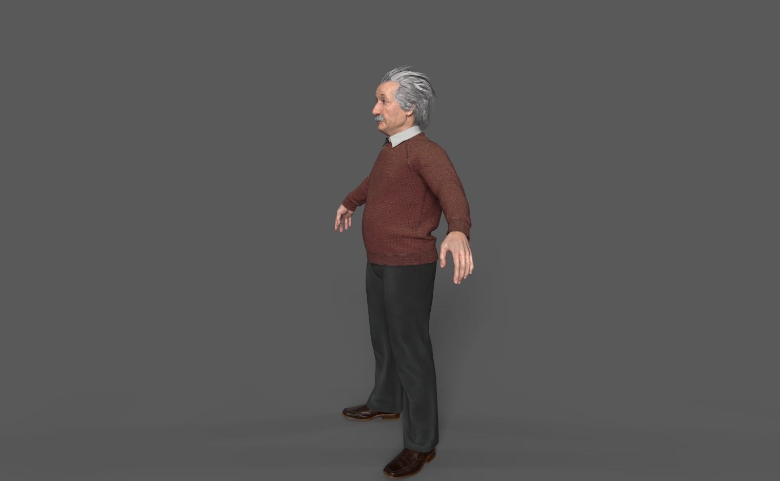 Albert Einstein 3D Model 3D model_11