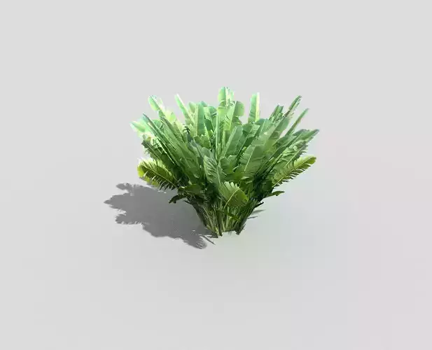 low poly banana plant 2