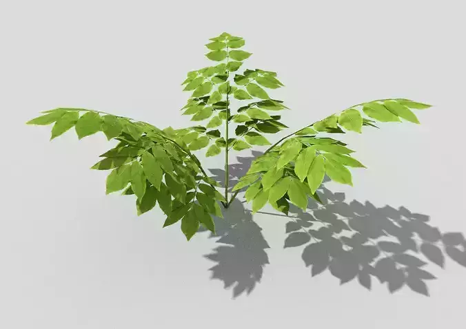 Low poly Plant